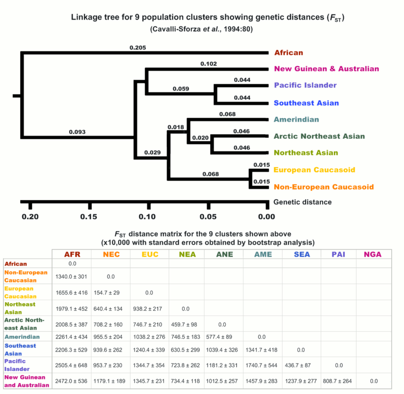 Phylogenetic tree of nine population groups used by Luigi Luca Cavalli-Sforza