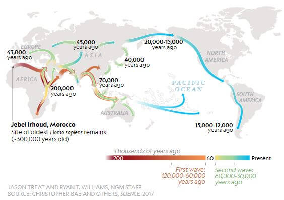 As humans migrated out of Africa they adapted to new environments in many ways. Skin color is an example. 