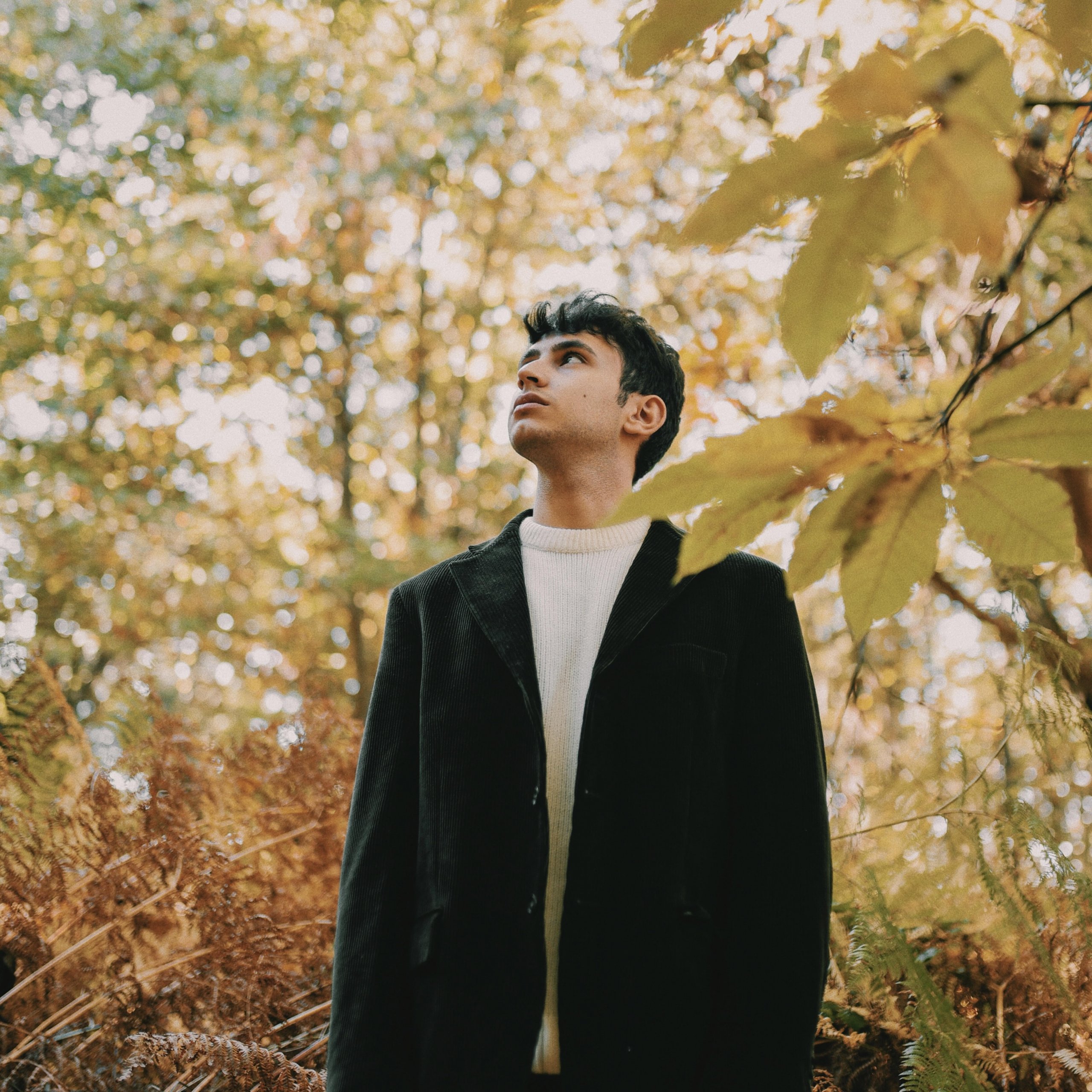 Capizzano Gallery Venti Blog