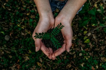 leggi a tutela dell'ambiente