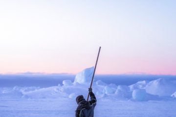 "Il senso di Smilla per la neve" e altre letture estive