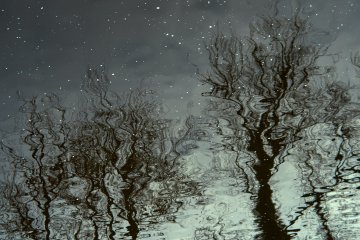 Kurt Wallander e l'inquietudine svedese